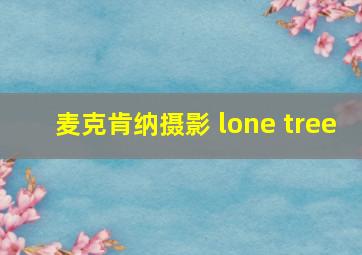 麦克肯纳摄影 lone tree